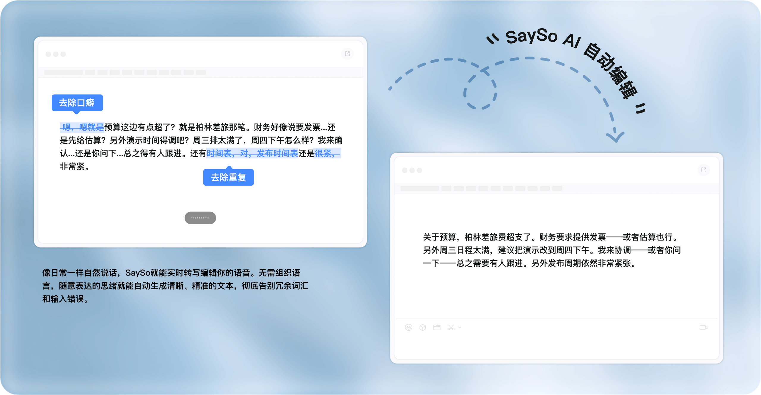 SaySo 集成展示图